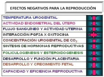 Importancia del microambiente para el desempeño fisiológico y efectos negativos del estrés calórico sobre la capacidad fisiológica y de producción en los caprinos y ovinos - Image 5