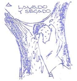 Inmunocastración en cerdos - Image 4