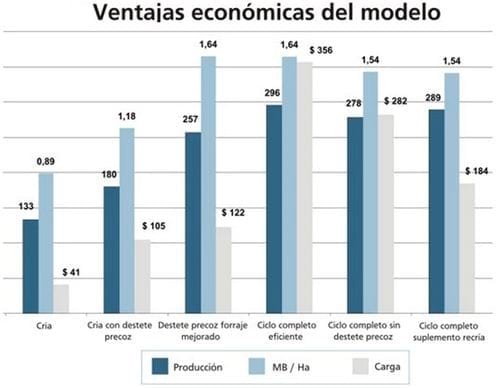 Ciclo Completo Eficiente, intensificación de la actividad ganadera - Image 1