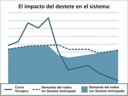 Ciclo Completo Eficiente, intensificación de la actividad ganadera - Image 4
