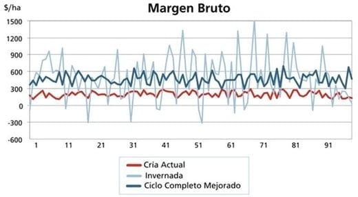 Ciclo Completo Eficiente, intensificación de la actividad ganadera - Image 2