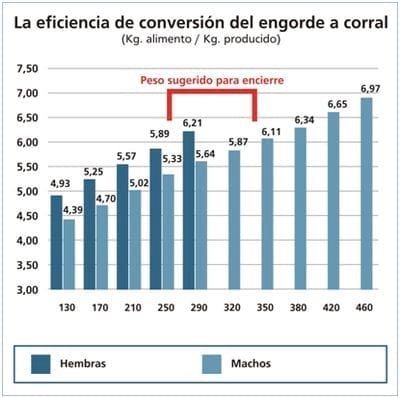 Ciclo Completo Eficiente, intensificación de la actividad ganadera - Image 6