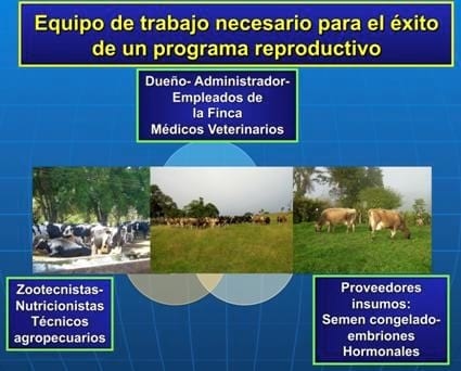 La importancia del recurso humano en las lecherías  de Latinoamérica - Image 1