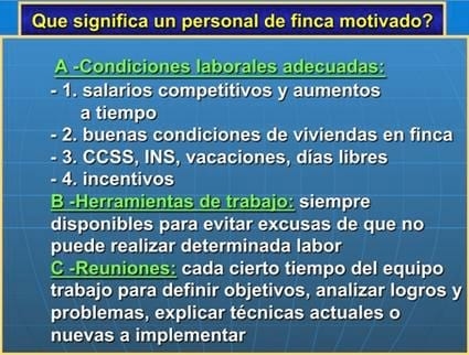 La importancia del recurso humano en las lecherías  de Latinoamérica - Image 3