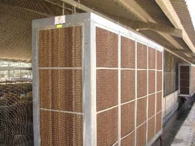 Equipos e instalaciones en las empresas de ganado ovino. Higiene y bienestar animal.- Gestión técnico económica de las empresas ovinas - Image 16