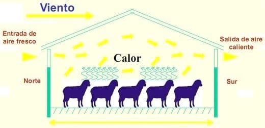 Equipos e instalaciones en las empresas de ganado ovino. Higiene y bienestar animal.- Gestión técnico económica de las empresas ovinas - Image 4