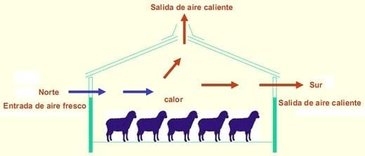 Equipos e instalaciones en las empresas de ganado ovino. Higiene y bienestar animal.- Gestión técnico económica de las empresas ovinas - Image 5