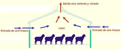 Equipos e instalaciones en las empresas de ganado ovino. Higiene y bienestar animal.- Gestión técnico económica de las empresas ovinas - Image 3