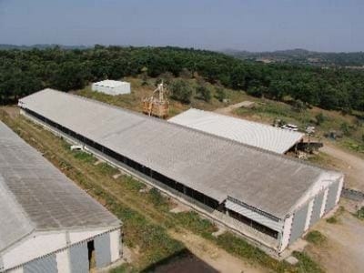 Equipos e instalaciones en las empresas de ganado ovino. Higiene y bienestar animal.- Gestión técnico económica de las empresas ovinas - Image 18