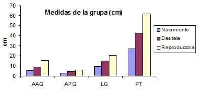 Variabilidad en las medidas de la grupa en las ovejas Pelibuey según su categoría - Image 2