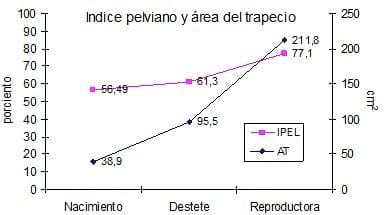 Variabilidad en las medidas de la grupa en las ovejas Pelibuey según su categoría - Image 3