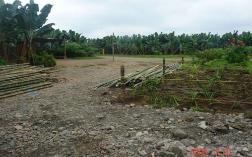 Aprovechamiento de la cascarilla de oryza sativa (arroz) para la producción de silicio orgánico - Image 3