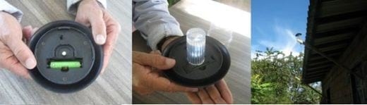 Manejo ovicaprino. Murciélago vs. Luz - Image 2
