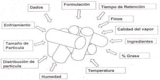 Alimento Balanceado en semigrano para Aves - Image 2