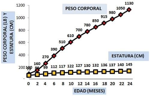 Principales registros biológicos para evaluar la capacidad funcional de la vaca lechera y su importancia para mejorar el manejo y la eficiencia en la producción lechera - Image 2