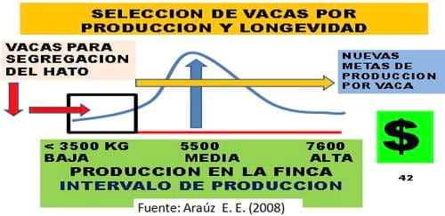 Principales registros biológicos para evaluar la capacidad funcional de la vaca lechera y su importancia para mejorar el manejo y la eficiencia en la producción lechera - Image 7