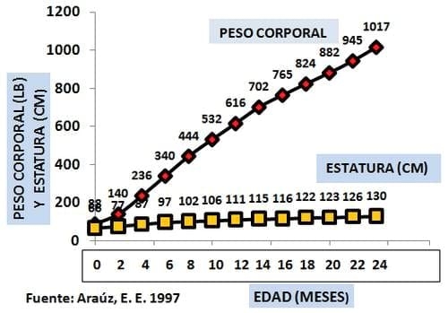 Principales registros biológicos para evaluar la capacidad funcional de la vaca lechera y su importancia para mejorar el manejo y la eficiencia en la producción lechera - Image 3