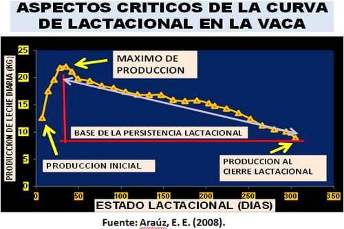 Principales registros biológicos para evaluar la capacidad funcional de la vaca lechera y su importancia para mejorar el manejo y la eficiencia en la producción lechera - Image 1
