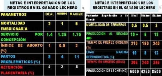 Principales registros biológicos para evaluar la capacidad funcional de la vaca lechera y su importancia para mejorar el manejo y la eficiencia en la producción lechera - Image 6