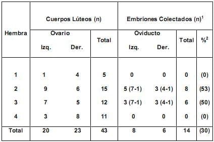 Embriones bipartidos y transferidos en fresco; Efectos en la fertilidad en ovinos Pelibuey - Image 1