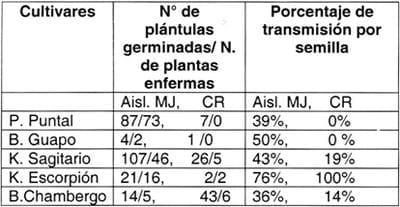 Evaluación de cultivares de trigo frente a la infección de dos aislamientos del barley stripe mosaic virus (bsmv), en base a la transmisión por semillas y poder germinativo - Image 2