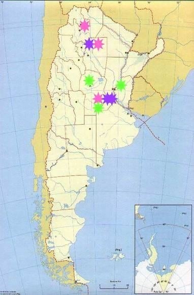 Prospección e incidencia del Barley Stripe Mosaic Virus (BSMV) en diferentes áreas de la región triguera argentina - Image 2