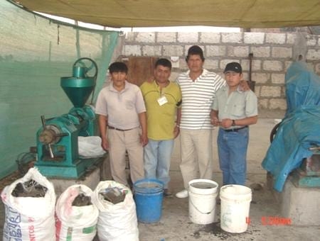 El cultivo de girasol como alternativa que contribuye al desarrollo sostenible - Image 2