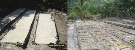 Las buenas practicas en el manejo y cuidado del almacigo de Café - Image 1