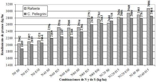 Fertilizacion del cultivo de colza - Image 1