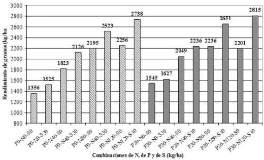 Fertilizacion del cultivo de colza - Image 2