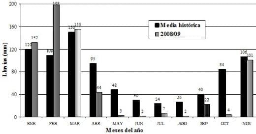 Fuentes nitrogenadas en trigo: su efecto sobre los rendimientos y las pédidas de nitrógeno por volatilización - Image 1