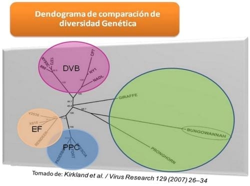 La amenaza de nuevas enfermedades. ¿Estamos en riesgo?. Parte I - Image 9
