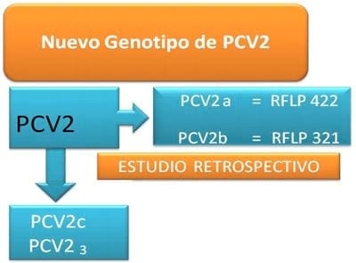 La amenaza de nuevas enfermedades. ¿Estamos en riesgo?. Parte I - Image 4