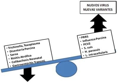 La amenaza de nuevas enfermedades. ¿Estamos en riesgo?. Parte I - Image 3
