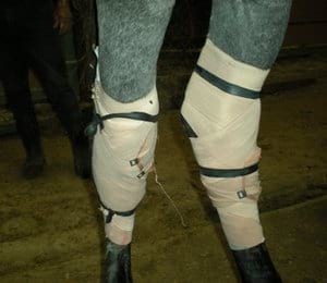 Tratamiento en heridas en potros, una alternativa diferente - Image 13
