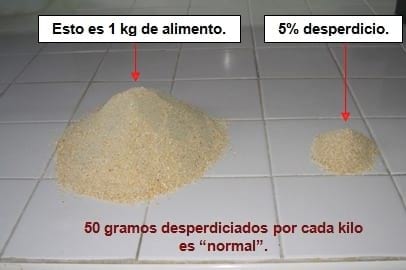 Desperdicio y restricción de alimento en comedero. ''Ni tan tan, ni muy muy...'' - Image 3