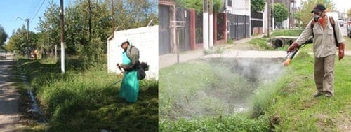 El Clima Está Loco - Image 5