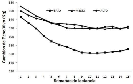 Nivel óptimo de energía neta en el consumo de alimento y producción de leche en el inicio de lactancia de vacas Holstein - Image 3