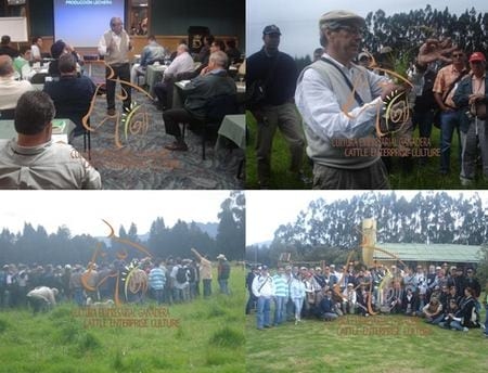 El Pastoreo Racional Voisin se afianza en Colombia - Image 12