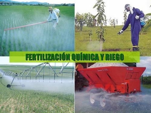 El Pastoreo Racional Voisin se afianza en Colombia - Image 2