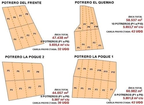 El Pastoreo Racional Voisin se afianza en Colombia - Image 17
