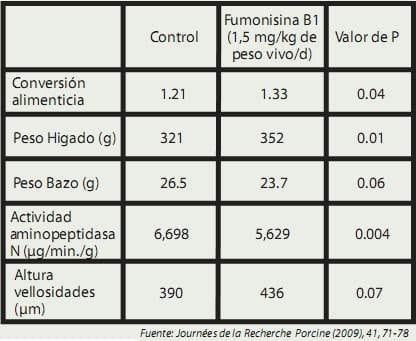 Efectos de la Fumonisina B1 sobre la productividad y la función intestinal en lechones - Image 1