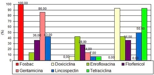Eficacia de Fosfomicina y factores no antibióticos contra una infección respiratoria de escherichia coli en pollos: un ensayo a campo - Image 4