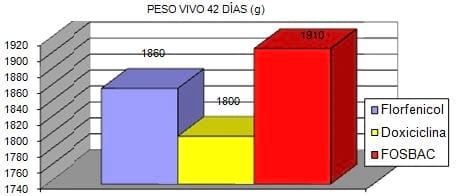 Eficacia de Fosfomicina y factores no antibióticos contra una infección respiratoria de escherichia coli en pollos: un ensayo a campo - Image 1