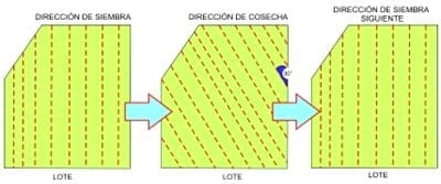 Una buena siembra directa comienza en la cola de la cosechadora - Image 4