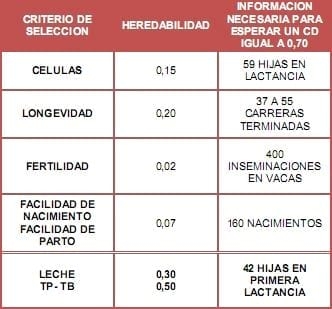 Indices Funcionales: No subestimar su importancia - Image 3