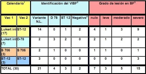 Experiencias practicas en el diagnostico de la infección de la Bolsa de Fabricio - Image 11