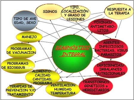 Elementos requeridos para un diagnóstico de Laboratorio - Image 1