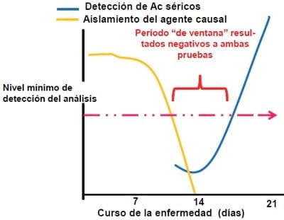 Elementos requeridos para un diagnóstico de Laboratorio - Image 10