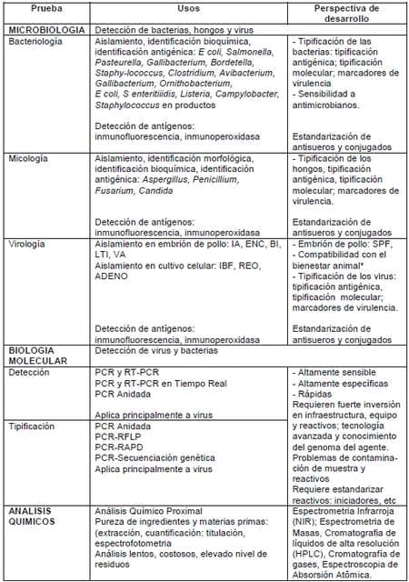 Perspectiva del Diagnóstico en Aves - Image 6